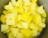 A picture of step 1 of Irish potato flat bread🍽🥔.