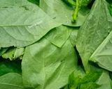 Foto langkah ke 1 dari resep Bobor lembayung(daun kacang).