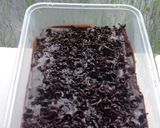 Foto langkah ke 11 dari resep Hottie brownie with assorted topping.