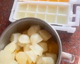 蜜檸桔冰茶的食譜步驟1照片