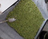 Foto del paso 2 de la receta: Pizza con base de brócoli y champiñón
