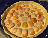 Une image de l'étape 7 de Tarte aux abricots (pâte brisée aux deux farines et lait).