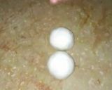 A picture of step 1 of Roghni Naan(baked chicken tikka).