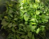 A picture of step 1 of Palak dal.