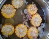 Foto langkah ke 2 dari resep Sayur bening pakis.