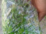 Cucumber salad