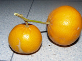 Magdalenas de tangerinas  (mandarinas)
