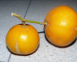Foto del paso 1 de la receta: Magdalenas de tangerinas  (mandarinas)