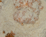 Foto del paso 1 de la receta: Panellets de boniato
