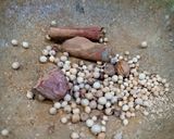 Foto langkah ke 1 dari resep Semur daging.