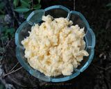 Foto langkah ke 2 dari resep Mentega Susu (isian roti / pao) sekali pakai.