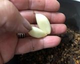 Foto del paso 5 de la receta: Pasta de lentejas de campo