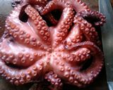 Foto del paso 1 de la receta: Pulpo a la gallega con crema de aceto balsámico
