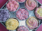 Brownies Fudge in cup (Putel)