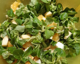 Foto del paso 2 de la receta: Ensalada de canónigos con manzana y naranja