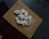 Foto del paso 8 de la receta: Raviolis en salsa de espinacas