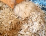 A picture of step 17 of Mandi rice (chicken mandi).