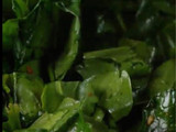 Palak Dal (spinach-lentil soup)