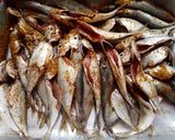 صورة لخطوة 1 من وصفة سردين مقلي على طريقتي 🐟 🐟👍