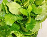 Hình bước làm 2 của món Canh Rau Má Nấu Tôm