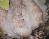 Foto del paso 1 de la receta: Pulpo a la Mugardesa