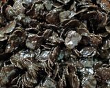 Foto langkah ke 2 dari resep Cornflakes coklat.