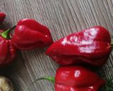 Une image de l'étape 1 de Sauce yaourt grec aneth habanero🌶️.