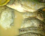 Foto langkah ke 4 dari resep Ikan Nila Goreng Pala Jinten.