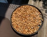 Foto del passaggio 1 della ricetta Paçoca Paulista, Dolce di Arachidi 🥜 tipico brasiliano