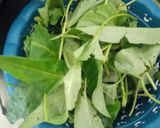 Foto langkah ke 1 dari resep Cah kangkung no kecap.
