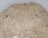 A picture of step 1 of Daal paratha.