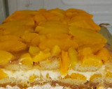 Foto del paso 3 de la receta: Postre rápido tipo chajá
