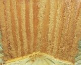 Foto del paso 4 de la receta: Torta Vertical🤤