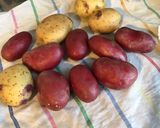 Une image de l'étape 1 de Duo de pommes de terre sautées à l ail et persil.