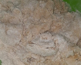Foto del paso 2 de la receta: Pizza casera en la plancheta
