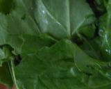 A picture of step 3 of Tricolor Vegetables Juices.