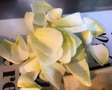 Une image de l'étape 2 de Salade de jeunes endives aux tomates, feta grecque et persil (sauce au miel et cidre).