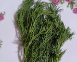 عکس مرحله 2 از دستور 🪷سالاد ارمنی🪷