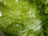 Trái cây tô trộn xốt mayonnaise
