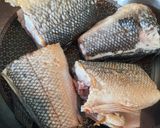 Labraksy saute krok przepisu 3 zdjęcie