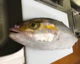 澎湖野生近岸小眼睛紅甘魚湯的食譜步驟1照片