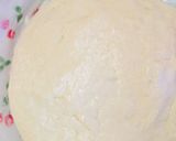 Foto del paso 8 de la receta: Ciabatta