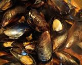 Foto del paso 9 de la receta: Mejillones en salsa marinera