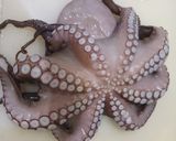 A picture of step 1 of Calamarata with Octopus Ragù.