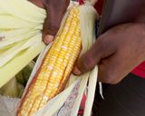 A picture of step 1 of Roasted corn.