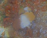 A picture of step 6 of Karhi pakora.