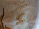 Sorbet de vainilla