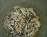 Foto langkah ke 1 dari resep Udang pedas manis buncis kriuk.