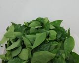 Foto langkah ke 1 dari resep Sayur Katuk bening.