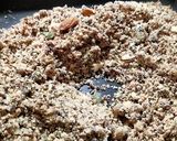 A picture of step 2 of Wheat flour seeds and nuts Ladoo with leftover ghee residue.